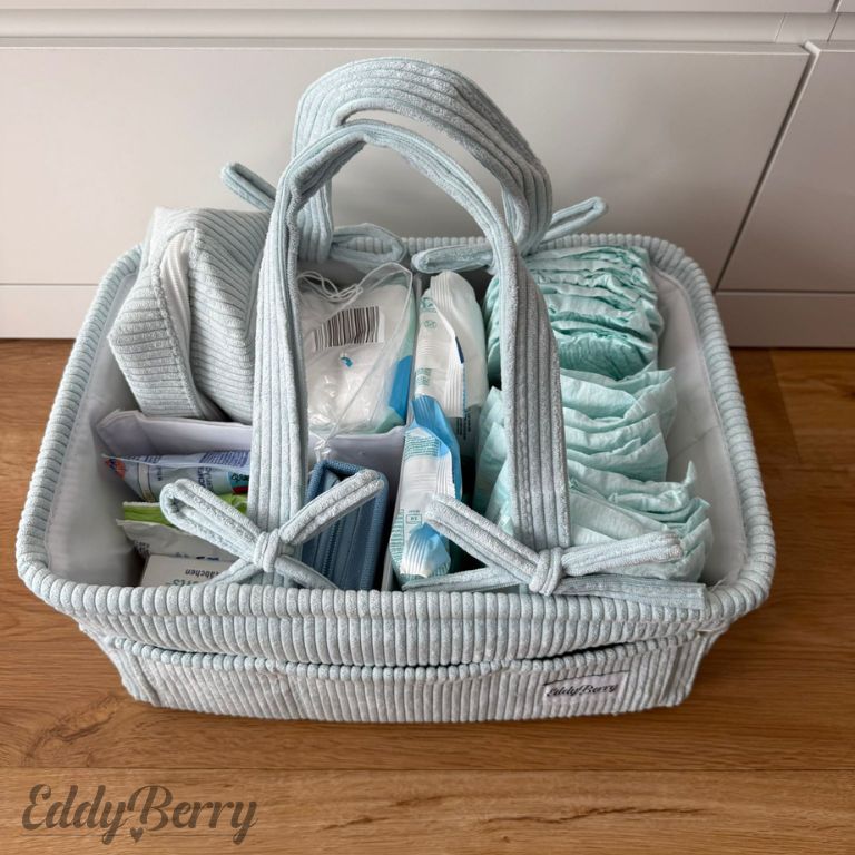 EddyBerry Organizer-Tasche in Mint – vielseitig & stilvoll