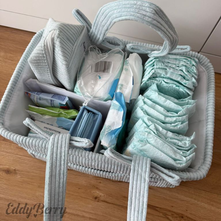 EddyBerry Organizer-Tasche in Mint – vielseitig & stilvoll