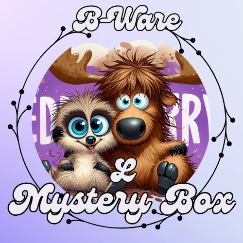 Mystery Box – B-Ware L