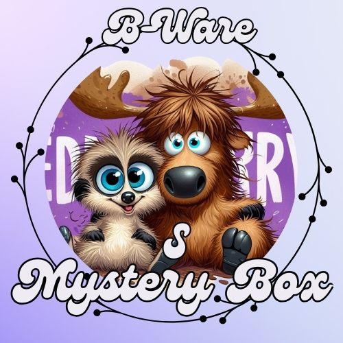 Mystery Box – B-Ware S