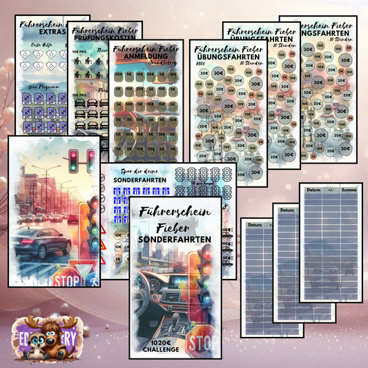 Führerschein Fieber (A6) – Die ultimative Sparchallenge